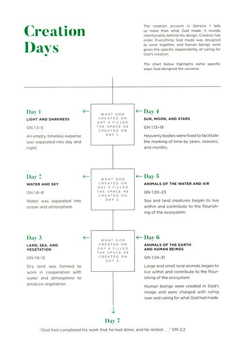 CSB He Reads Truth Bible, Pewter Cloth Over Board, Hardcover with Dust Jacket - Image 4